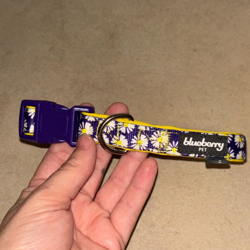 Blueberry Pet Floral Dog Collar